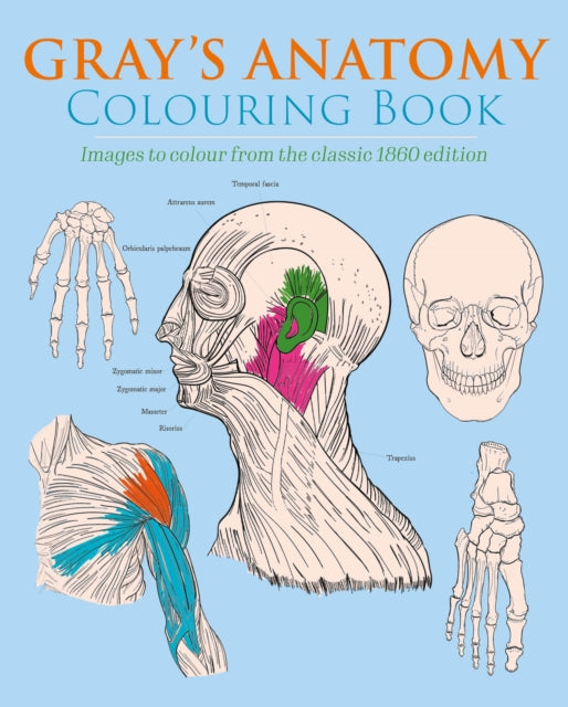 Gray's Anatomy Colouring Book: Images to Colour from the Classic 1860 Edition