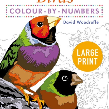 Large Print Colour by Numbers Birds: Easy-to-Read