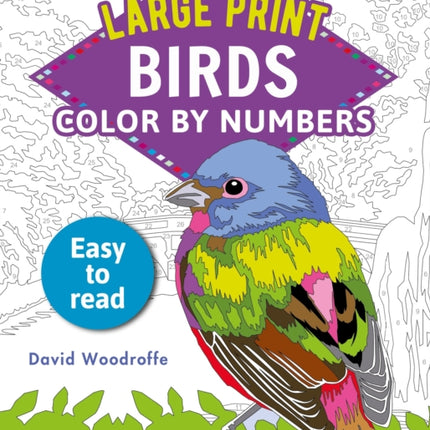 Large Print Color by Numbers Birds: Easy-To-Read