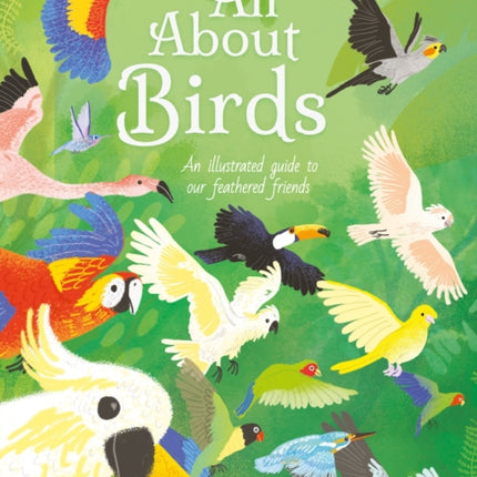 All About Birds: An Illustrated Guide to Our Feathered Friends