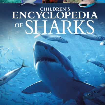 Childrens Encyclopedia of Sharks