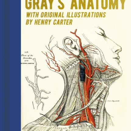Grays Anatomy