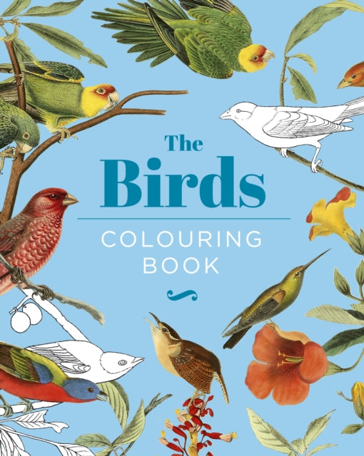 The Birds Colouring Book: Hardback Gift Edition