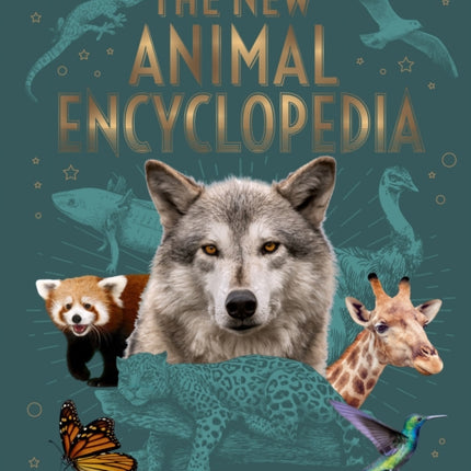 The New Animal Encyclopedia: Mammals, Birds, Reptiles, Sea Creatures, and More!