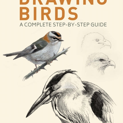 Drawing Birds: A Complete Step-by-Step Guide