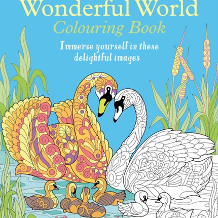 The Wonderful World Colouring Book