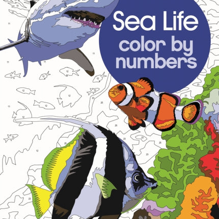 SEA LIFE COLOR BY NUMBERS