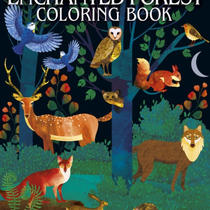 The Enchanted Forest Coloring Book
