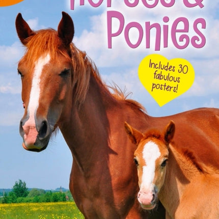 My Poster Book Horses  Ponies