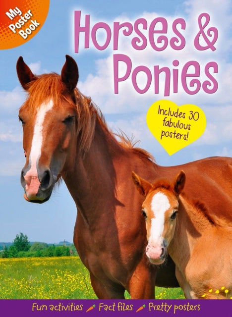 My Poster Book Horses  Ponies