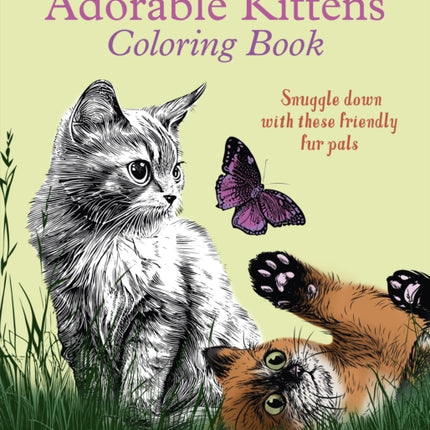 Adorable Kittens Coloring Book