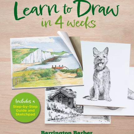 Learn to Draw in 4 Weeks