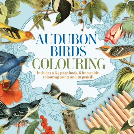 Audubon Birds Colouring Kit