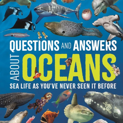 Questions and Answers About Oceans