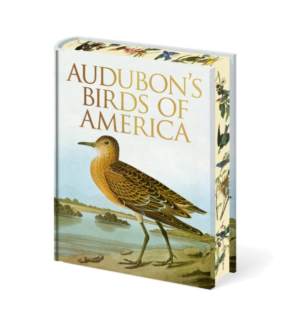Audubons Birds of America