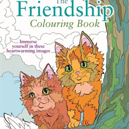 The Friendship Colouring Book