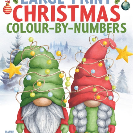 Large Print Christmas ColourbyNumbers