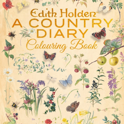 Edith Holden A Country Diary Colouring Book