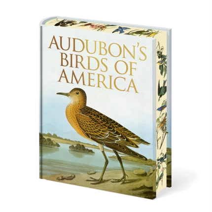 Audubons Birds of America