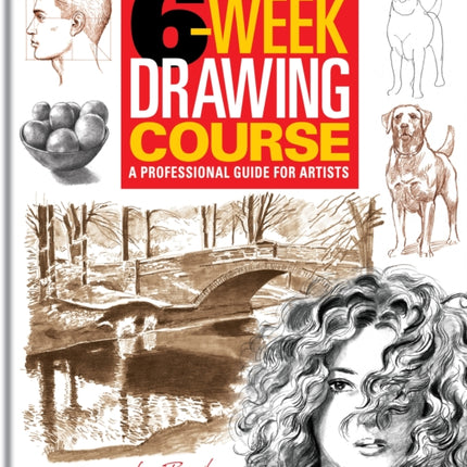 6Week Drawing Course