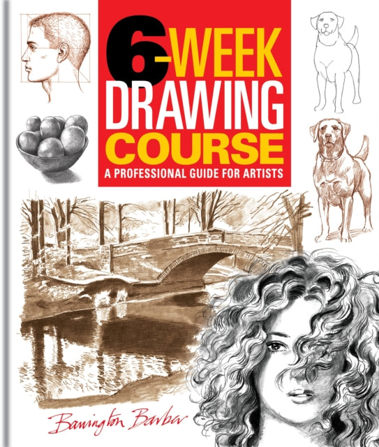 6Week Drawing Course