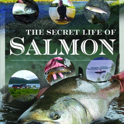 The Secret Life of Salmon