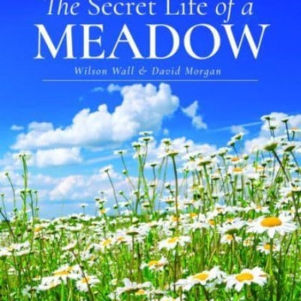 The Secret Life of a Meadow