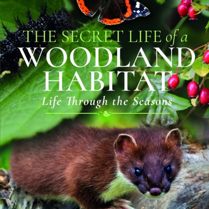 The Secret Life of a Woodland Habitat: Life Through the Seasons