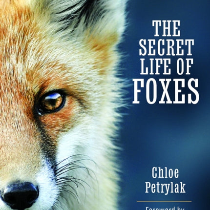 The Secret Life of Foxes