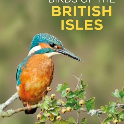 RSPB Birds of the British Isles