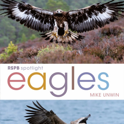 RSPB Spotlight: Eagles