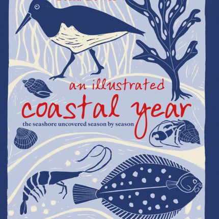 An Illustrated Coastal Year: The seashore uncovered season by season