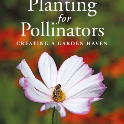 Planting for Pollinators: Creating a Garden Haven