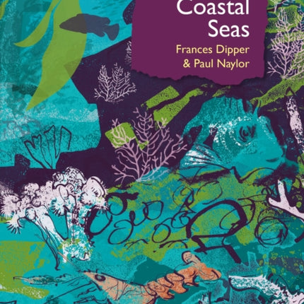 Coastal Seas