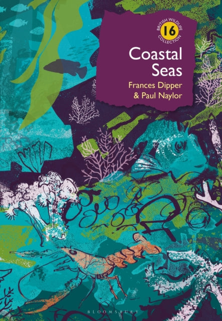 Coastal Seas