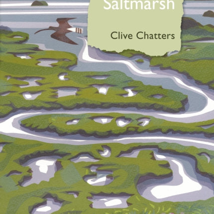 Saltmarsh