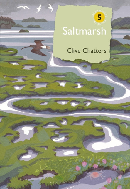 Saltmarsh