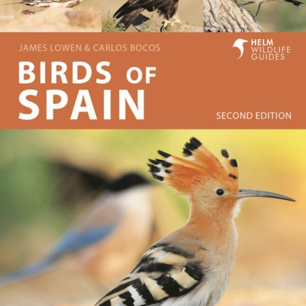 Birds of Spain