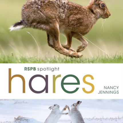 RSPB Spotlight Hares