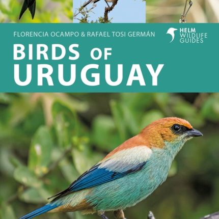 Birds of Uruguay