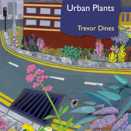Urban Plants