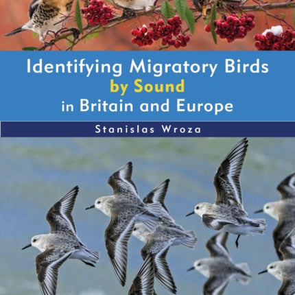 Identifying Migratory Birds by Sound in Britain