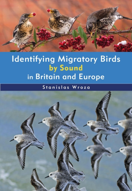 Identifying Migratory Birds by Sound in Britain
