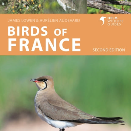 Birds of France