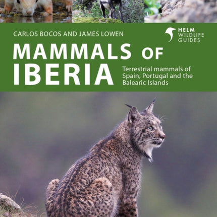 Mammals of Iberia