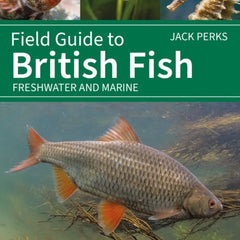 Collection image for: Zoology: fishes (ichthyology) Books