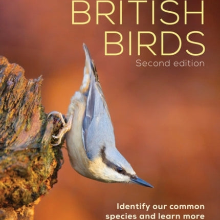 The RSPB Everyday Guide to British Birds: Identify our common species and learn more about their lives