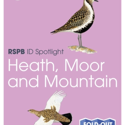 RSPB ID Spotlight  Birds of Heath Moor and Mountain