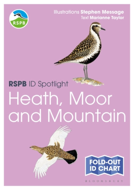 RSPB ID Spotlight  Birds of Heath Moor and Mountain