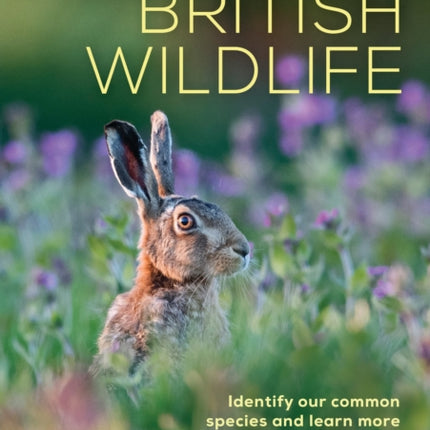 RSPB Everyday Guide to British Wildlife